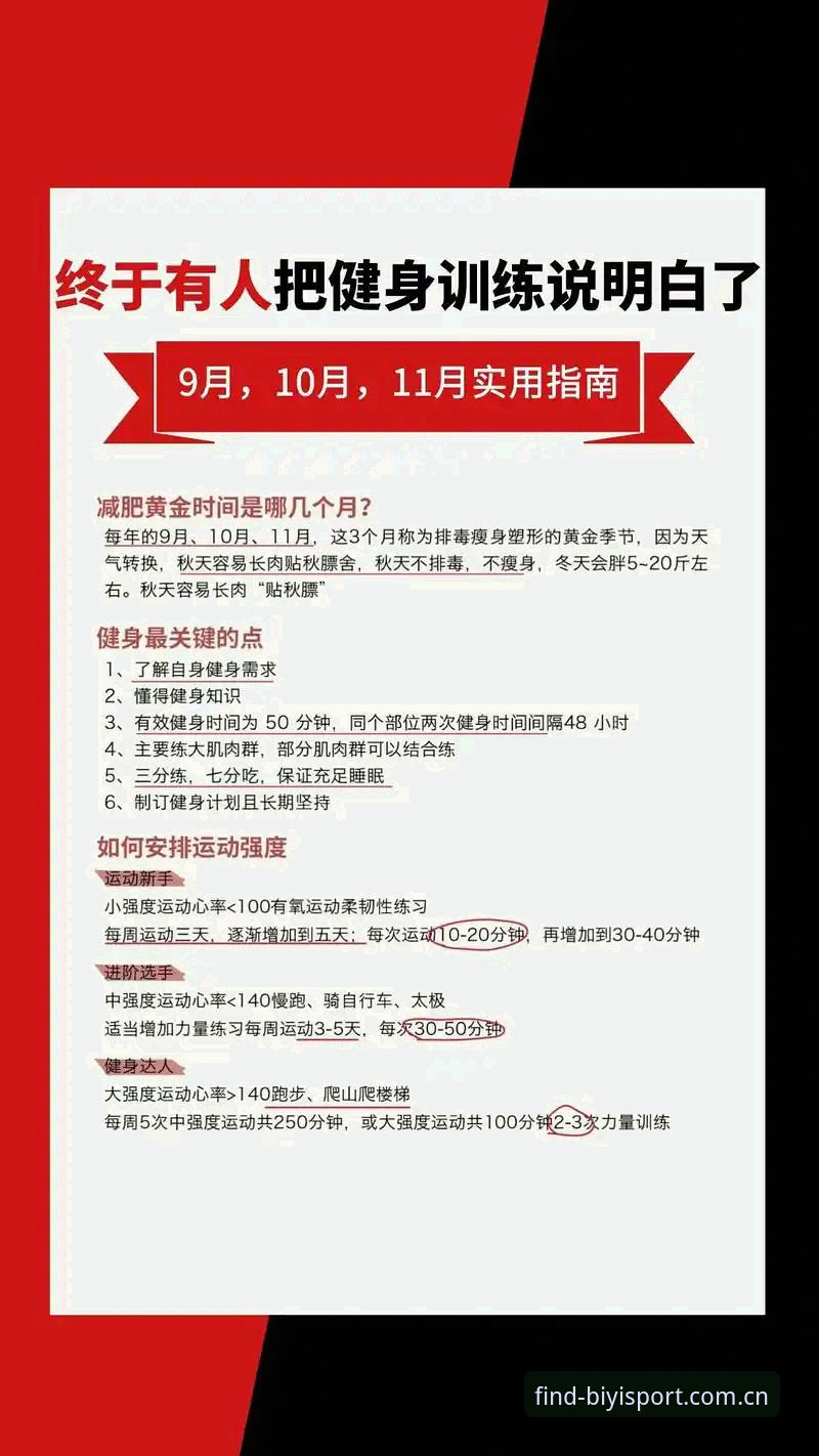 必一体育官方网址教程详解：快速找到安全登录入口的实用指南